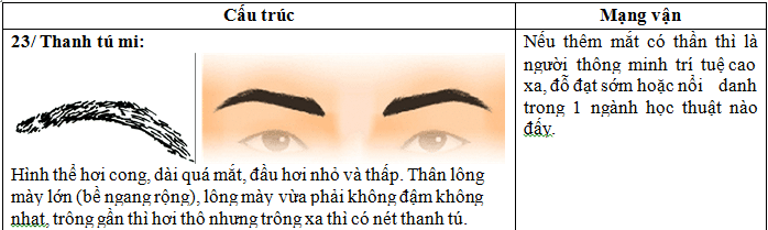 xem lông mày