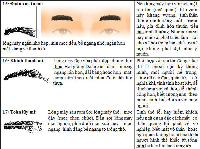 xem tướng lông mày 8