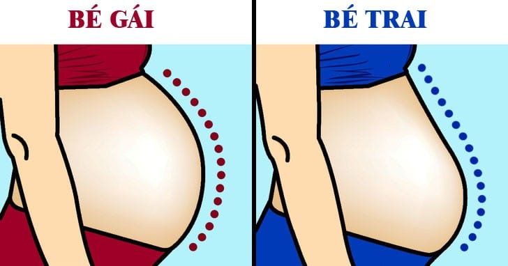 hình dáng bụng bầu