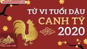 Tử Vi NGười Tuổi Dậu