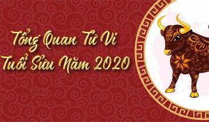 Tử vi tuổi at Sửu năm 2020 nam mạng, Tuổi at Sửu năm 2020 nữ mạng, Tử vi tuổi ất Sửu 2020 nam mạng, Tử vi tuổi Sửu 1985 năm 2020 nữ mạng, Tử vi tuổi at Sửu năm 2020 nữ mạng, Tử vi ất Sửu năm 2020 nữ mạng, Tử vi tuổi Sửu 1997 năm 2020, Tử vi tuổi Sửu 2020 nữ mạng 1997,