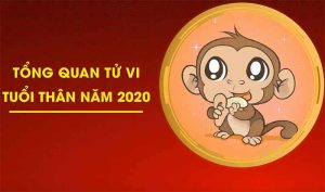 Tử vi tuổi Nhâm Thân 2020 nữ mạng, Tử vi tuổi Nhâm Thân năm 2020 nam mạng, Tử vi tuổi Nhâm Thân 2020 nam mạng, Tử vi Nhâm Thân 2020 nam mạng, Tử vi 2020 Nhâm Thân nữ mạng, Tử vi tuổi Nhâm Thân năm 2020 nữ mạng, Tuổi Nhâm Thân 2020 nam mạng, Tử vi 2020 tuổi Canh Thân,