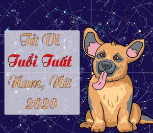 Tử Vi Tuổi Tuất 2020