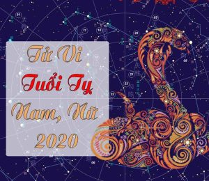 Tử Vi Tuổi Tỵ 2020