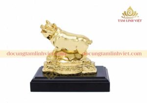 Người tuổi Hợi trong năm 2019 sẽ có dòng chảy tài chính mạnh mẽ